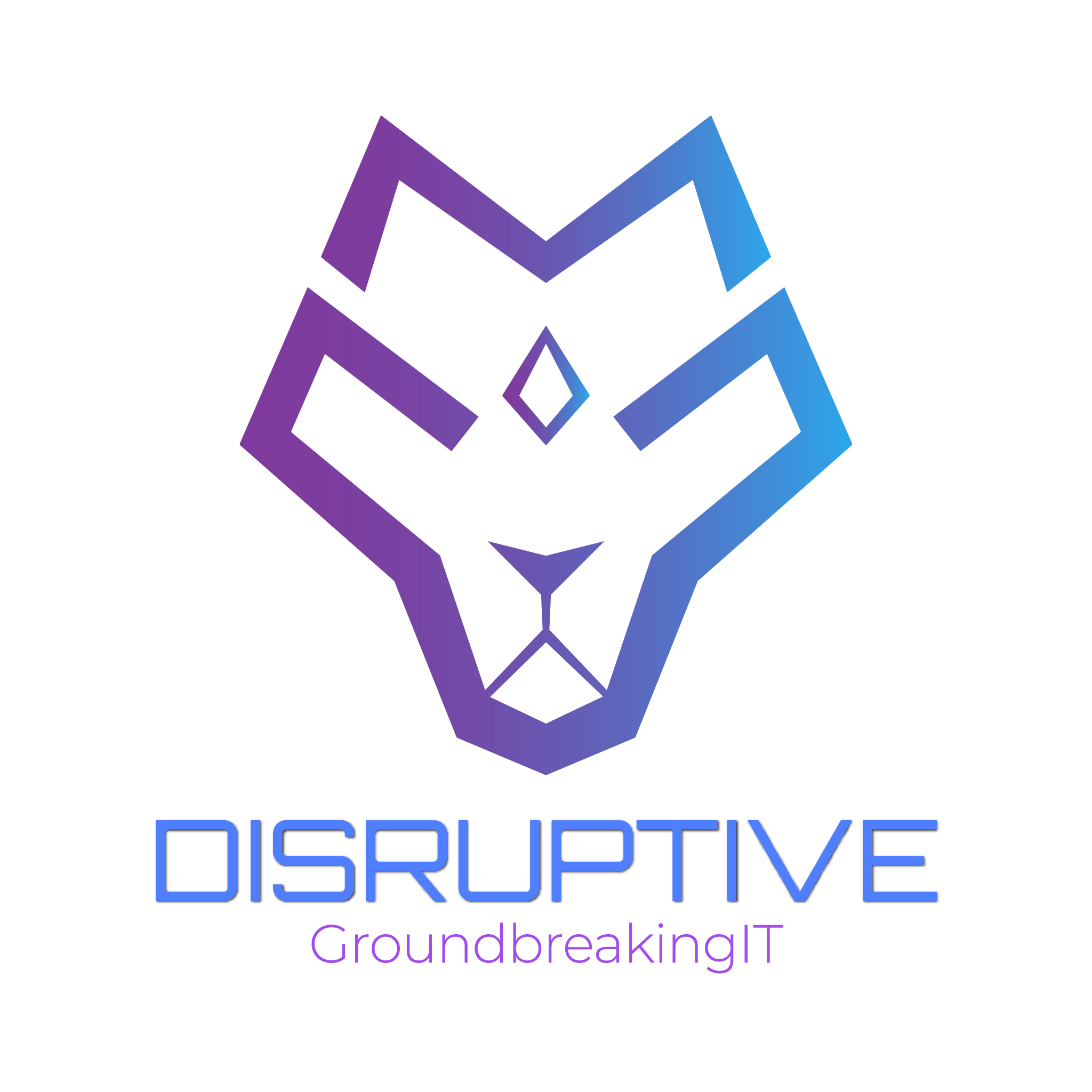 Disruptive Information Technologies